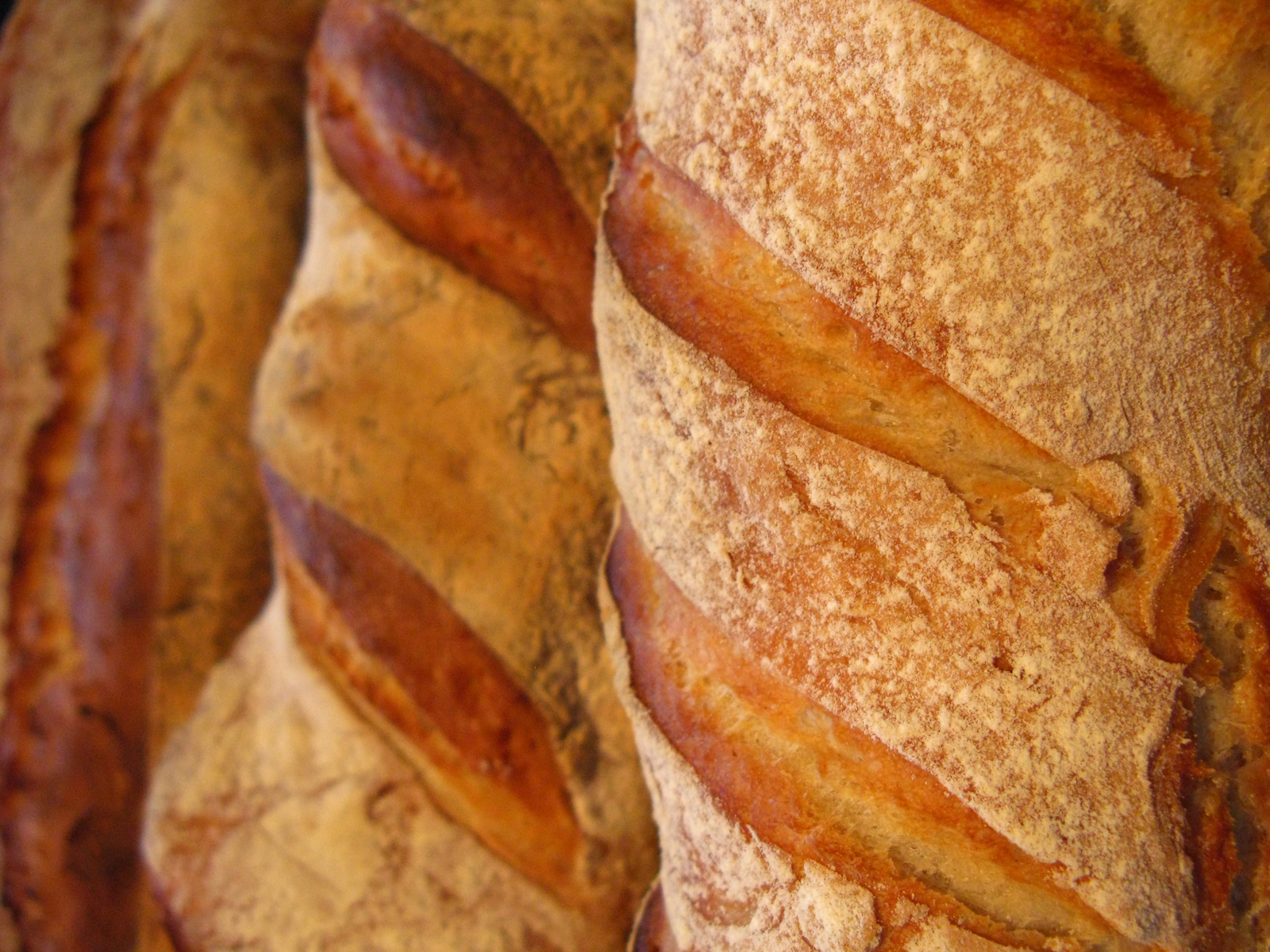 Homemade bread